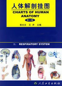 人體解剖彩色掛圖.bmp