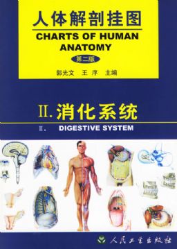 人體解剖掛圖(消化系統).jpg