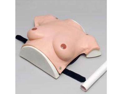 F7C高級著(zhù)裝式乳房自檢模型.jpg